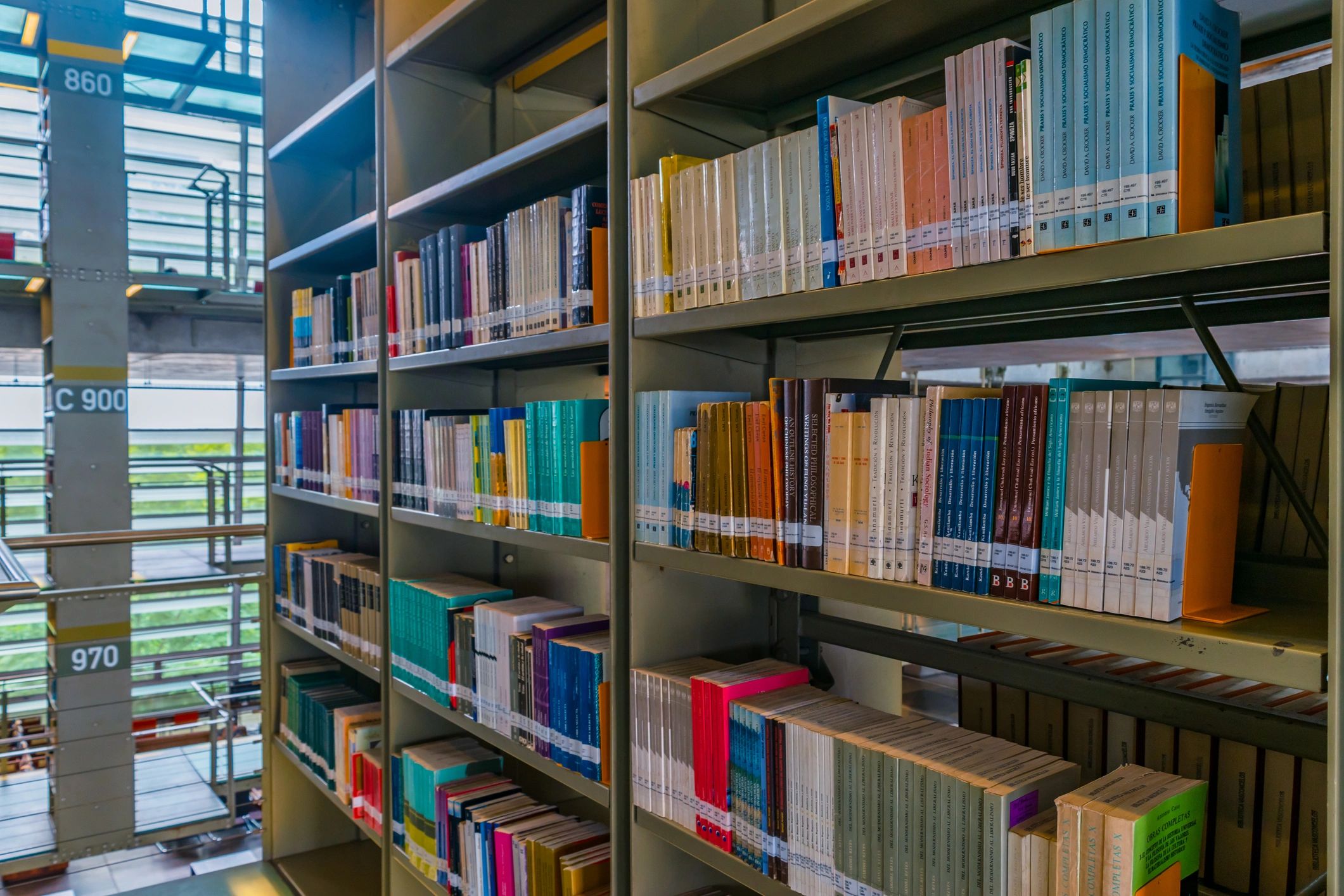 Bookshelves symbolizing organized thematic knowledge