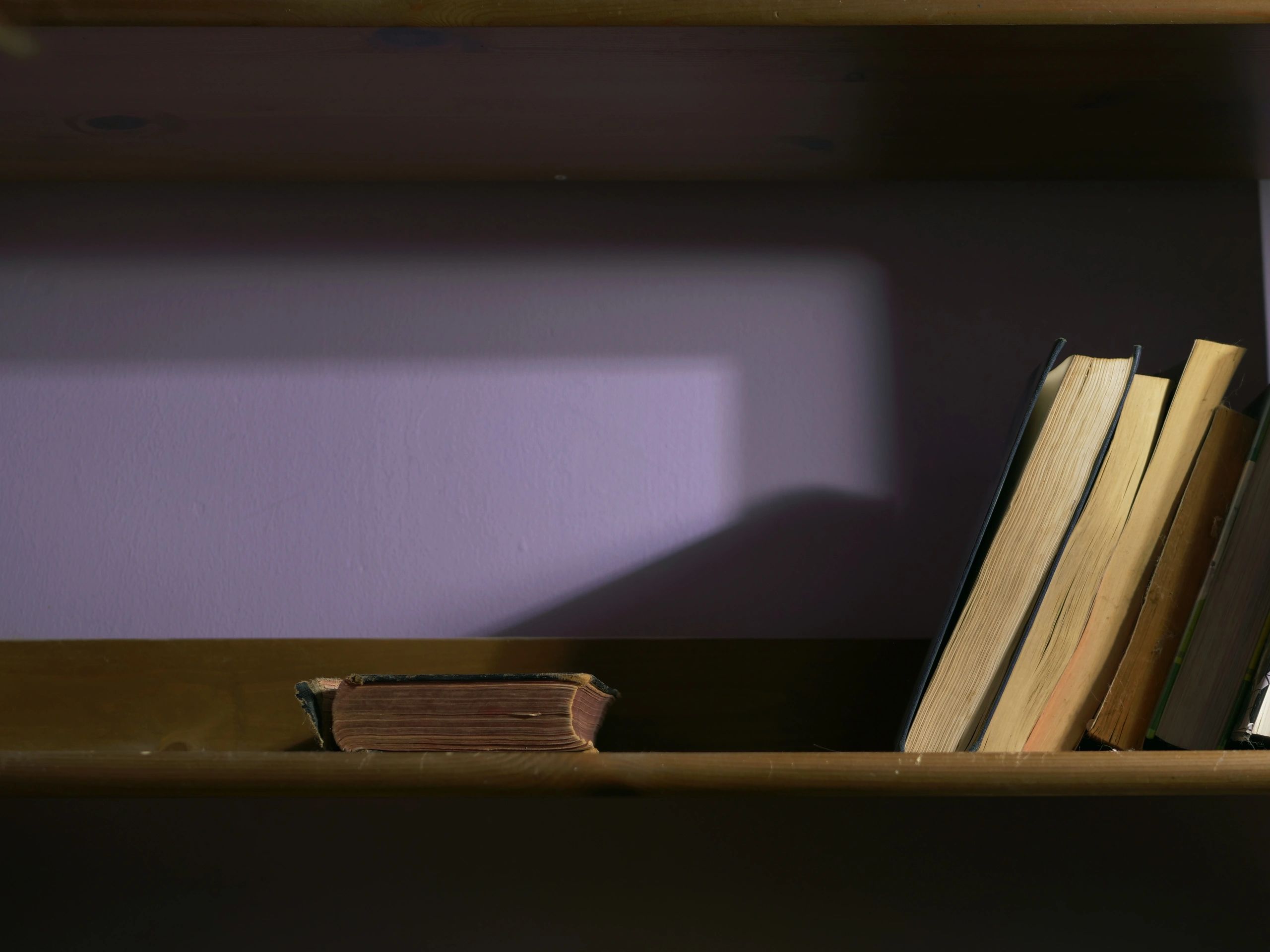 Bookshelf image representing the research team and editorial work